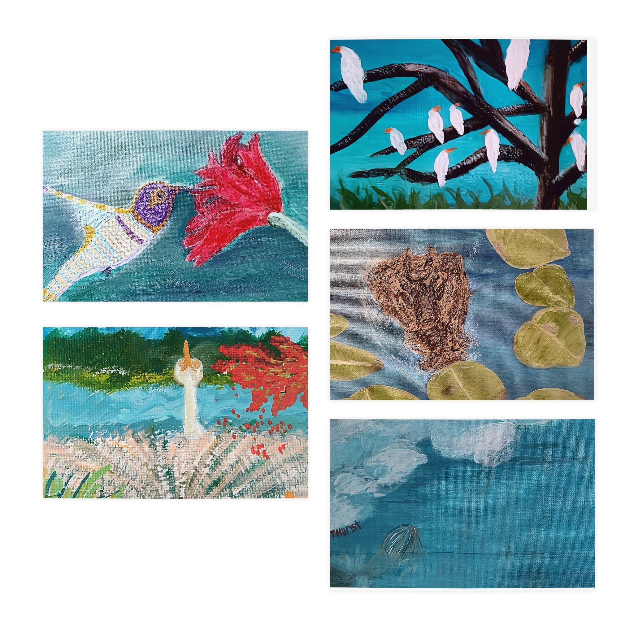 Assorted Blank Greeting Cards 5-Pack — Premium Folded Note Cards for Birthdays, Thank Yous & Everyday Messages